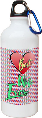 

SKY TRENDS Opaque Series 600 ml Water Bottle(Set of 1, White)