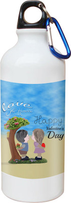 

SKY TRENDS Opaque Series 600 ml Water Bottle(Set of 1, White)