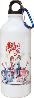 

SKY TRENDS Opaque Series 600 ml Water Bottle(Set of 1, White)