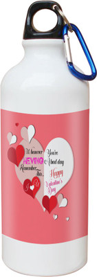 

SKY TRENDS Opaque Series 600 ml Water Bottle(Set of 1, White)