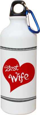

SKY TRENDS Opaque Series 600 ml Water Bottle(Set of 1, White)