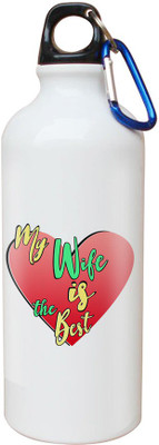 

SKY TRENDS Opaque Series 600 ml Water Bottle(Set of 1, White)