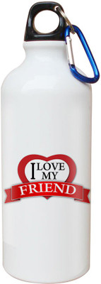 

SKY TRENDS Opaque Series 600 ml Water Bottle(Set of 1, White)