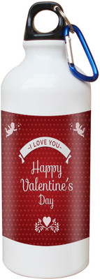 

SKY TRENDS Opaque Series 600 ml Water Bottle(Set of 1, White)
