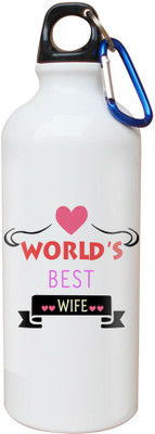

SKY TRENDS Opaque Series 600 ml Water Bottle(Set of 1, White)