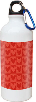 

SKY TRENDS Opaque Series 600 ml Water Bottle(Set of 1, White)