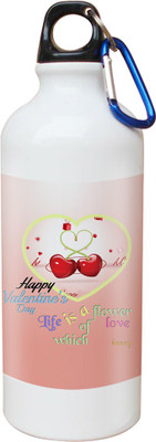 

SKY TRENDS Opaque Series 600 ml Water Bottle(Set of 1, White)