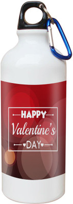 

SKY TRENDS Opaque Series 600 ml Water Bottle(Set of 1, White)