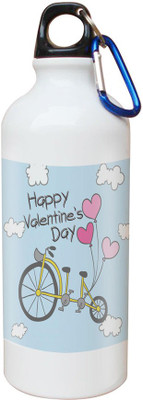

SKY TRENDS Opaque Series 600 ml Water Bottle(Set of 1, White)