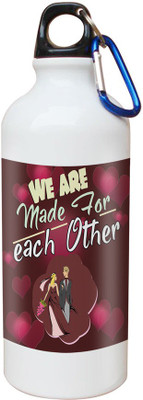 

SKY TRENDS Opaque Series 600 ml Water Bottle(Set of 1, White)