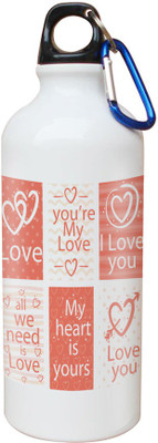 

SKY TRENDS Opaque Series 600 ml Water Bottle(Set of 1, White)