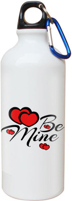 

SKY TRENDS Opaque Series 600 ml Water Bottle(Set of 1, White)
