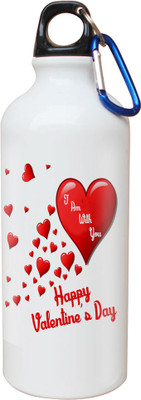 

SKY TRENDS Opaque Series 600 ml Water Bottle(Set of 1, White)