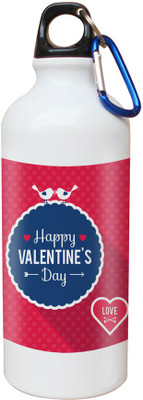 

SKY TRENDS Opaque Series 600 ml Water Bottle(Set of 1, White)