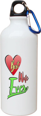 

SKY TRENDS Opaque Series 600 ml Water Bottle(Set of 1, White)