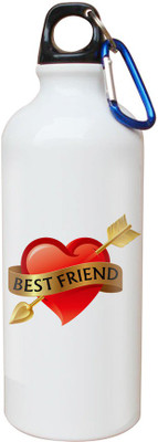 

SKY TRENDS Opaque Series 600 ml Water Bottle(Set of 1, White)