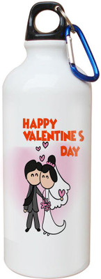 

SKY TRENDS Opaque Series 600 ml Water Bottle(Set of 1, White)