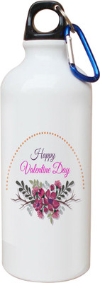 

SKY TRENDS Opaque Series 600 ml Water Bottle(Set of 1, White)