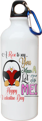 

SKY TRENDS Opaque Series 600 ml Water Bottle(Set of 1, White)