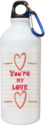 

SKY TRENDS Opaque Series 600 ml Water Bottle(Set of 1, White)