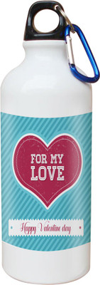 

SKY TRENDS Opaque Series 600 ml Water Bottle(Set of 1, White)