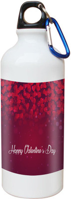 

SKY TRENDS Opaque Series 600 ml Water Bottle(Set of 1, White)