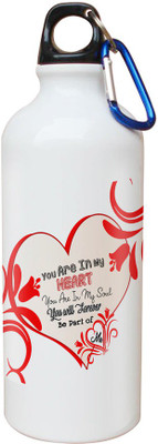 

SKY TRENDS Opaque Series 600 ml Water Bottle(Set of 1, White)