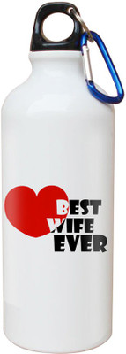 

SKY TRENDS Opaque Series 600 ml Water Bottle(Set of 1, White)