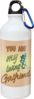 

SKY TRENDS Opaque Series 600 ml Water Bottle(Set of 1, White)