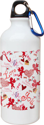 

SKY TRENDS Opaque Series 600 ml Water Bottle(Set of 1, White)