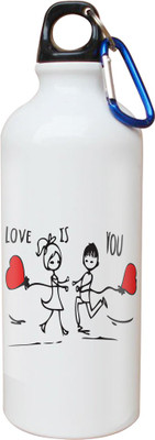 

SKY TRENDS Opaque Series 600 ml Water Bottle(Set of 1, White)