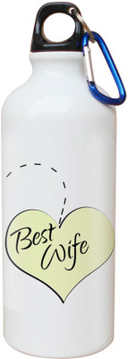 

SKY TRENDS Opaque Series 600 ml Water Bottle(Set of 1, White)