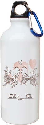 

SKY TRENDS Opaque Series 600 ml Water Bottle(Set of 1, White)