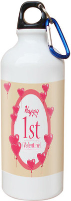 

SKY TRENDS Opaque Series 600 ml Water Bottle(Set of 1, White)