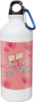 

SKY TRENDS Opaque Series 600 ml Water Bottle(Set of 1, White)