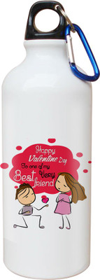 

SKY TRENDS Opaque Series 600 ml Water Bottle(Set of 1, White)