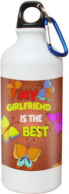 

SKY TRENDS Opaque Series 600 ml Water Bottle(Set of 1, White)