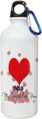 

SKY TRENDS Opaque Series 600 ml Water Bottle(Set of 1, White)