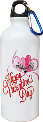 

SKY TRENDS Opaque Series 600 ml Water Bottle(Set of 1, White)