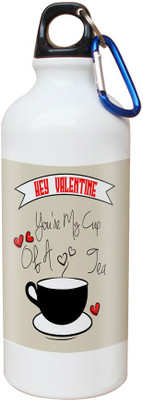 

SKY TRENDS Opaque Series 600 ml Water Bottle(Set of 1, White)
