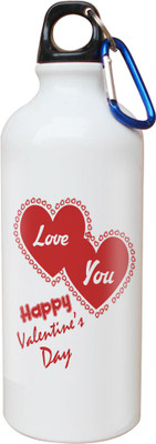 

SKY TRENDS Opaque Series 600 ml Water Bottle(Set of 1, White)