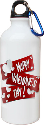 

SKY TRENDS Opaque Series 600 ml Water Bottle(Set of 1, White)