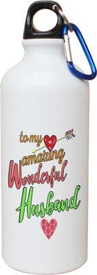 

SKY TRENDS Opaque Series 600 ml Water Bottle(Set of 1, White)