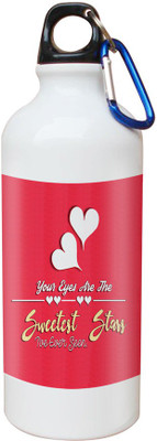 

SKY TRENDS Opaque Series 600 ml Water Bottle(Set of 1, White)