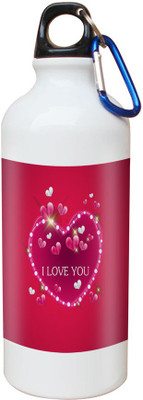 

SKY TRENDS Opaque Series 600 ml Water Bottle(Set of 1, White)