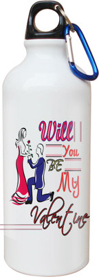 

SKY TRENDS Opaque Series 600 ml Water Bottle(Set of 1, White)
