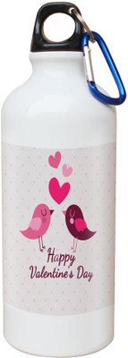 

SKY TRENDS Opaque Series 600 ml Water Bottle(Set of 1, White)