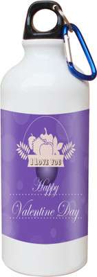 

SKY TRENDS Opaque Series 600 ml Water Bottle(Set of 1, White)