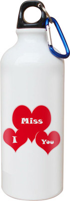 

SKY TRENDS Opaque Series 600 ml Water Bottle(Set of 1, White)