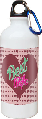 

SKY TRENDS Opaque Series 600 ml Water Bottle(Set of 1, White)